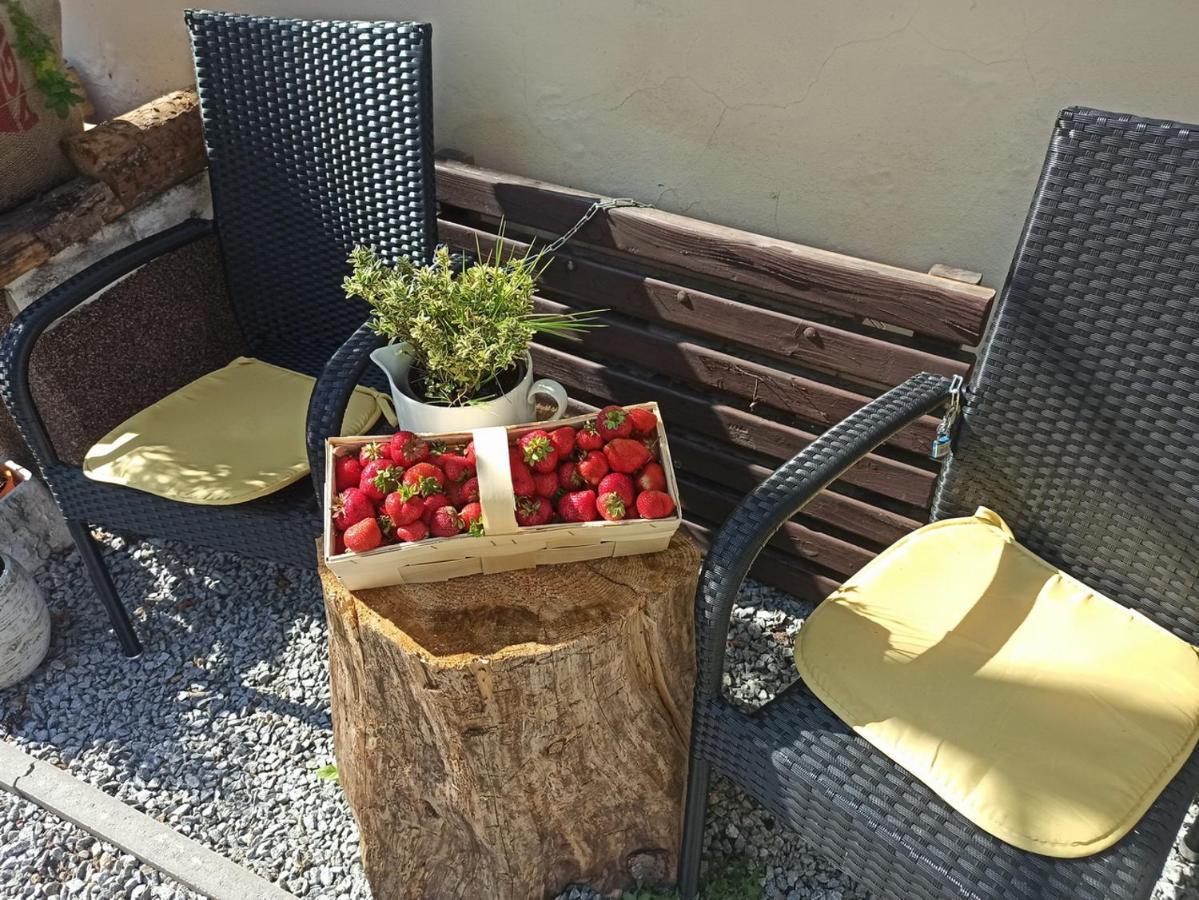 Ubytování Nové Hrady 111 - apartmány Žiaková Extérieur photo